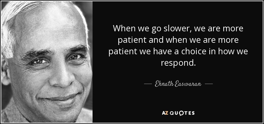 When we go slower, we are more patient and when we are more patient we have a choice in how we respond. - Eknath Easwaran
