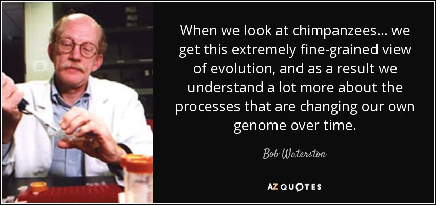 When we look at chimpanzees . . . we get this extremely fine-grained view of evolution, and as a result we understand a lot more about the processes that are changing our own genome over time. - Bob Waterston