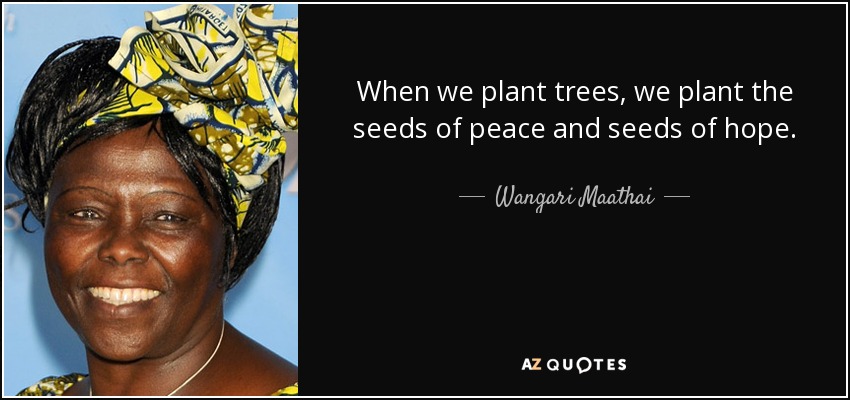 When we plant trees, we plant the seeds of peace and seeds of hope. - Wangari Maathai