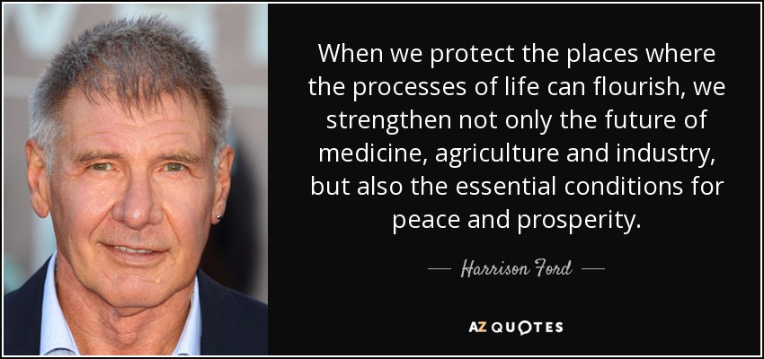 When we protect the places where the processes of life can flourish, we strengthen not only the future of medicine, agriculture and industry, but also the essential conditions for peace and prosperity. - Harrison Ford
