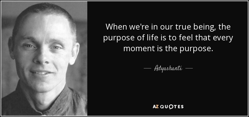When we're in our true being, the purpose of life is to feel that every moment is the purpose. - Adyashanti