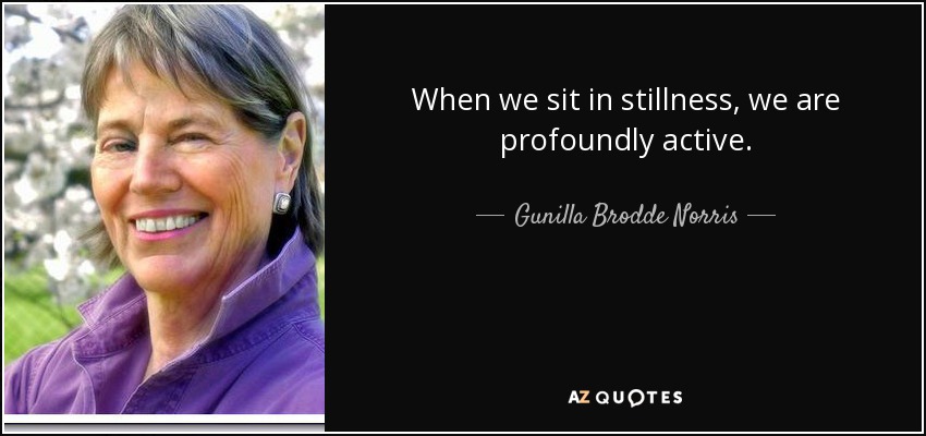 When we sit in stillness, we are profoundly active. - Gunilla Brodde Norris
