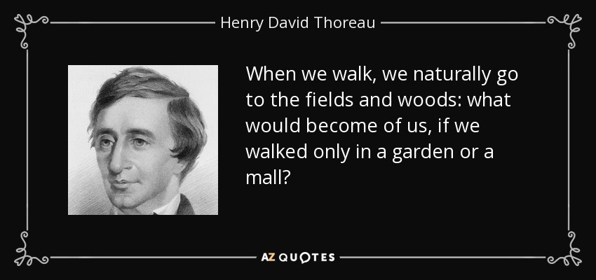 When we walk, we naturally go to the fields and woods: what would become of us, if we walked only in a garden or a mall? - Henry David Thoreau