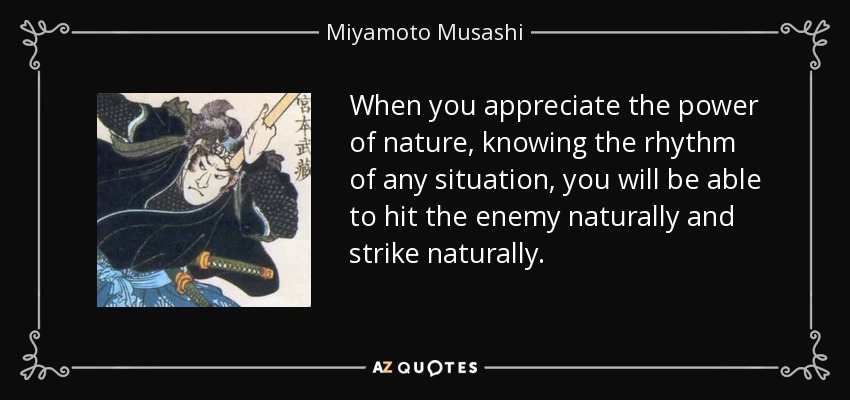 When you appreciate the power of nature, knowing the rhythm of any situation, you will be able to hit the enemy naturally and strike naturally. - Miyamoto Musashi