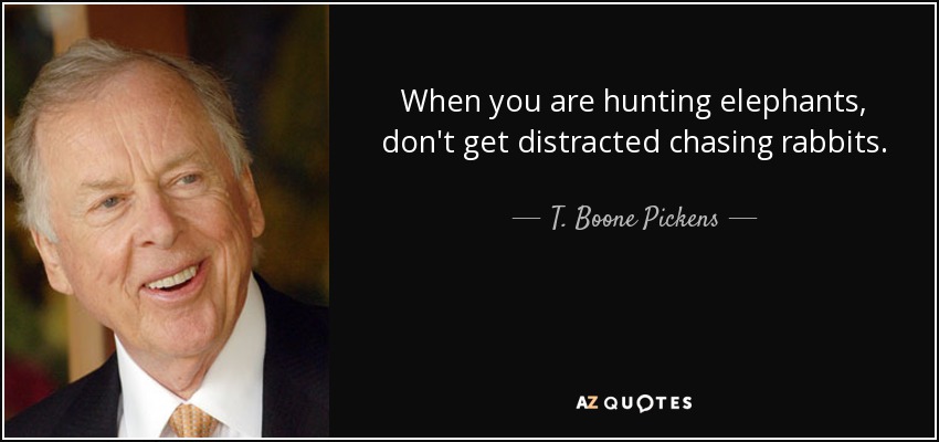 When you are hunting elephants, don't get distracted chasing rabbits. - T. Boone Pickens