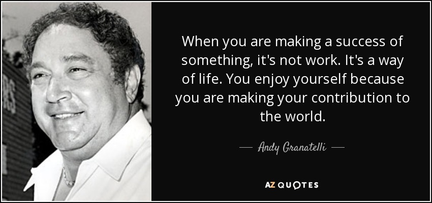 When you are making a success of something, it's not work. It's a way of life. You enjoy yourself because you are making your contribution to the world. - Andy Granatelli
