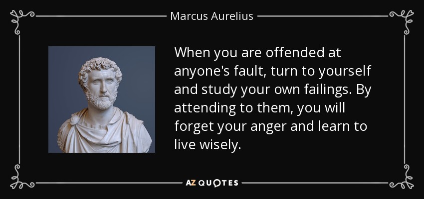 When you are offended at anyone's fault, turn to yourself and study your own failings. By attending to them, you will forget your anger and learn to live wisely. - Marcus Aurelius
