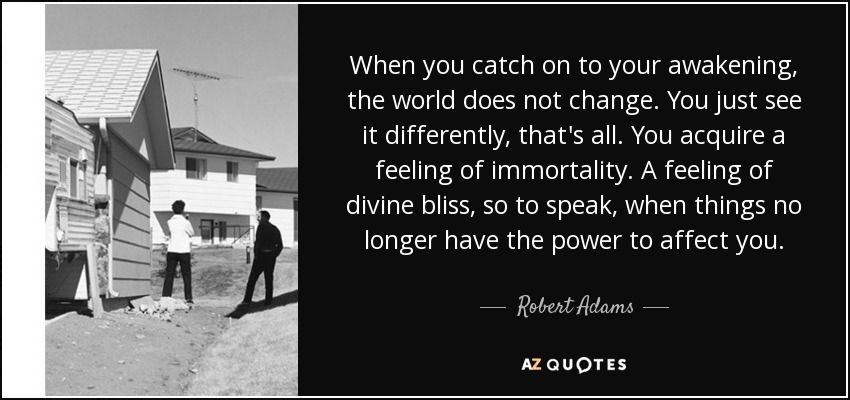 When you catch on to your awakening, the world does not change. You just see it differently, that's all. You acquire a feeling of immortality. A feeling of divine bliss, so to speak, when things no longer have the power to affect you. - Robert Adams