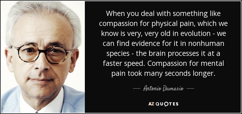 When you deal with something like compassion for physical pain, which we know is very, very old in evolution - we can find evidence for it in nonhuman species - the brain processes it at a faster speed. Compassion for mental pain took many seconds longer. - Antonio Damasio