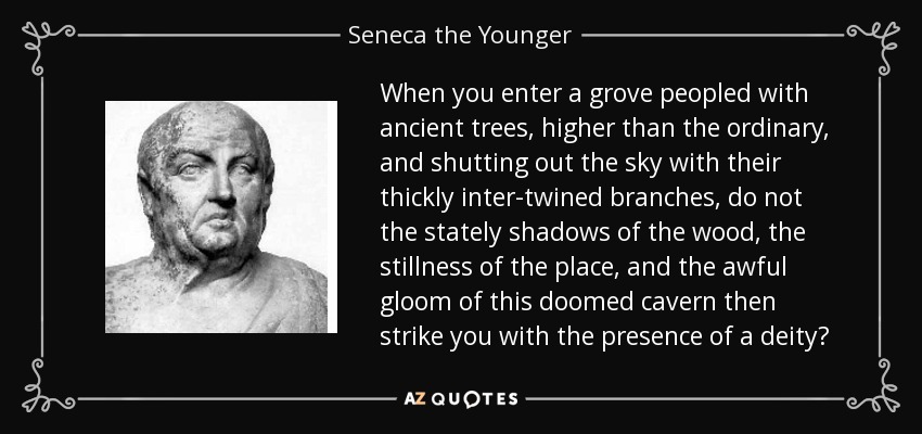 When you enter a grove peopled with ancient trees, higher than the ordinary, and shutting out the sky with their thickly inter-twined branches, do not the stately shadows of the wood, the stillness of the place, and the awful gloom of this doomed cavern then strike you with the presence of a deity? - Seneca the Younger