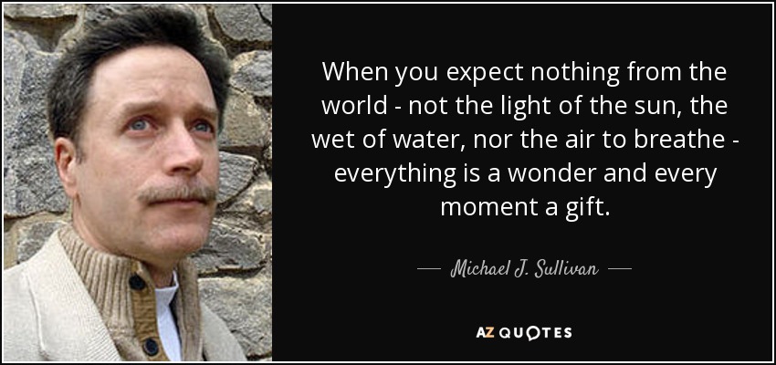 When you expect nothing from the world - not the light of the sun, the wet of water, nor the air to breathe - everything is a wonder and every moment a gift. - Michael J. Sullivan