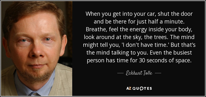 When you get into your car, shut the door and be there for just half a minute. Breathe, feel the energy inside your body, look around at the sky, the trees. The mind might tell you, 'I don't have time.' But that's the mind talking to you. Even the busiest person has time for 30 seconds of space. - Eckhart Tolle