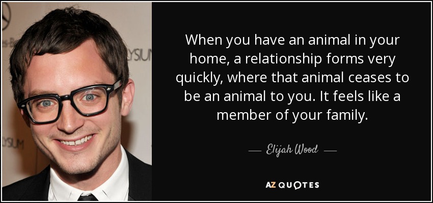 When you have an animal in your home, a relationship forms very quickly, where that animal ceases to be an animal to you. It feels like a member of your family. - Elijah Wood