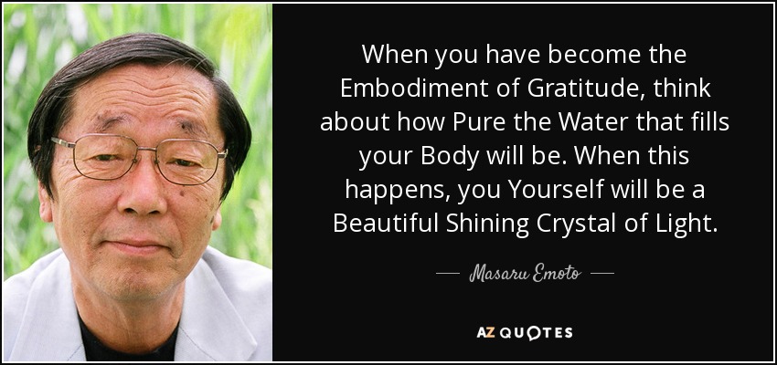 When you have become the Embodiment of Gratitude, think about how Pure the Water that fills your Body will be. When this happens, you Yourself will be a Beautiful Shining Crystal of Light. - Masaru Emoto