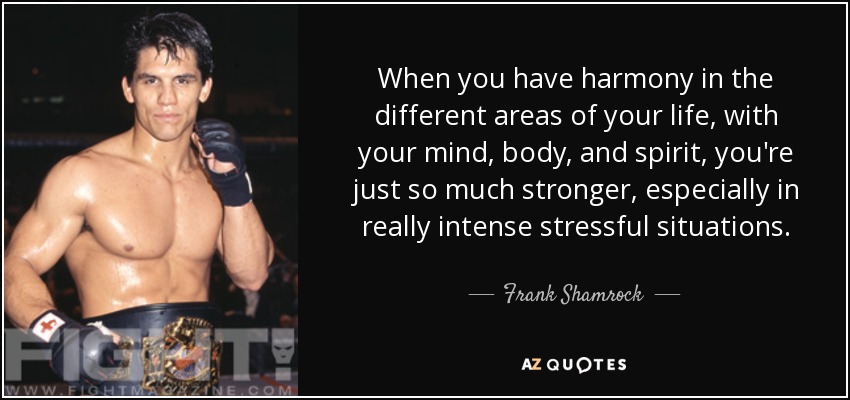 When you have harmony in the different areas of your life, with your mind, body, and spirit, you're just so much stronger, especially in really intense stressful situations. - Frank Shamrock