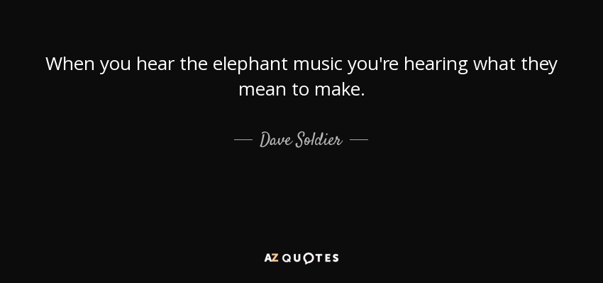 When you hear the elephant music you're hearing what they mean to make. - Dave Soldier