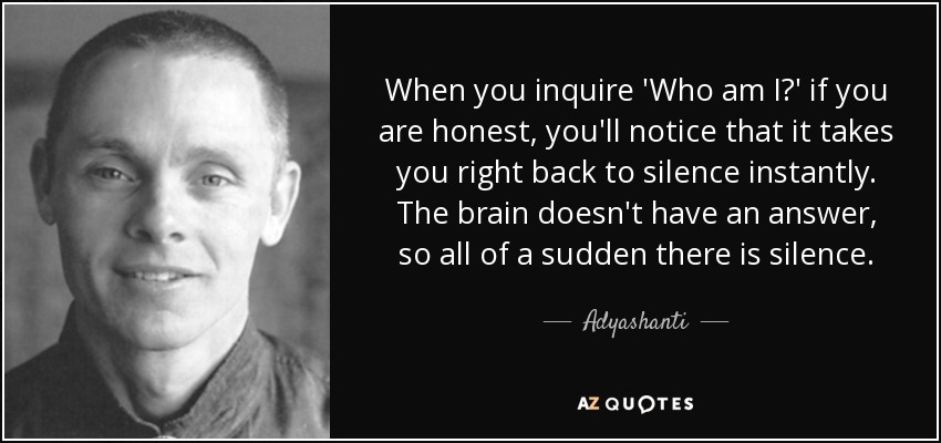 When you inquire 'Who am I?' if you are honest, you'll notice that it takes you right back to silence instantly. The brain doesn't have an answer, so all of a sudden there is silence. - Adyashanti