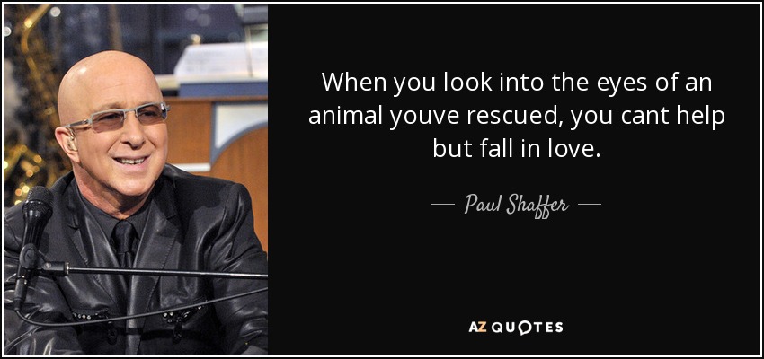 When you look into the eyes of an animal youve rescued, you cant help but fall in love. - Paul Shaffer