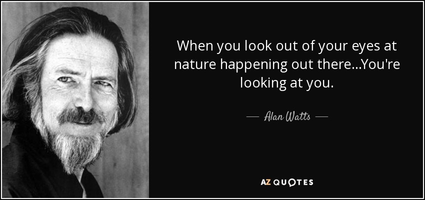 When you look out of your eyes at nature happening out there...You're looking at you. - Alan Watts