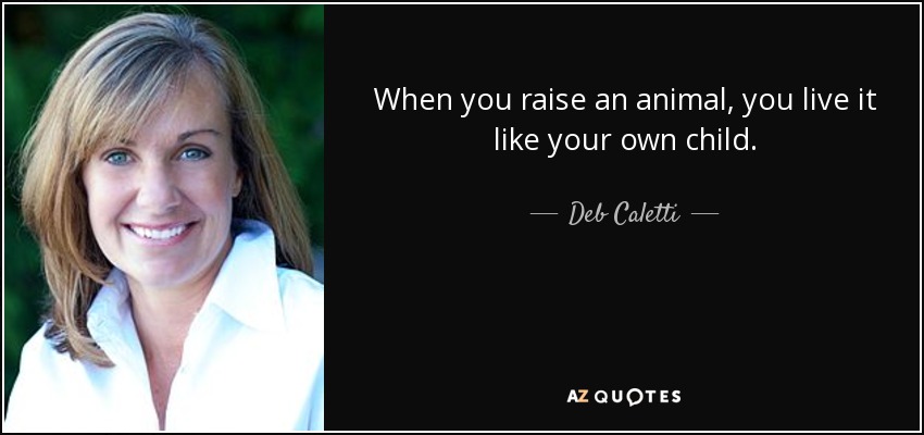 When you raise an animal, you live it like your own child. - Deb Caletti