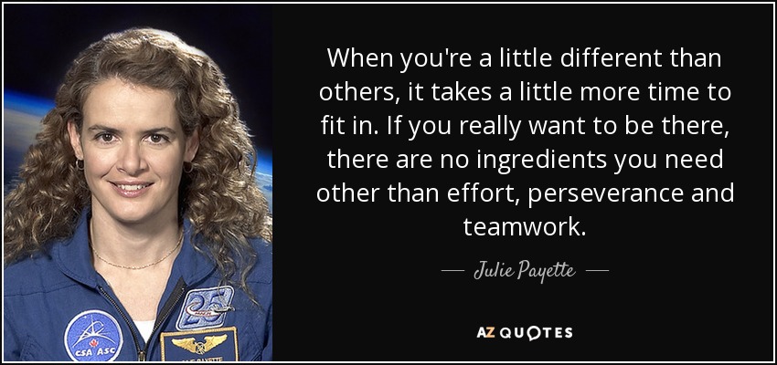 When you're a little different than others, it takes a little more time to fit in. If you really want to be there, there are no ingredients you need other than effort, perseverance and teamwork. - Julie Payette