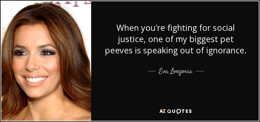 When you're fighting for social justice, one of my biggest pet peeves is speaking out of ignorance. - Eva Longoria