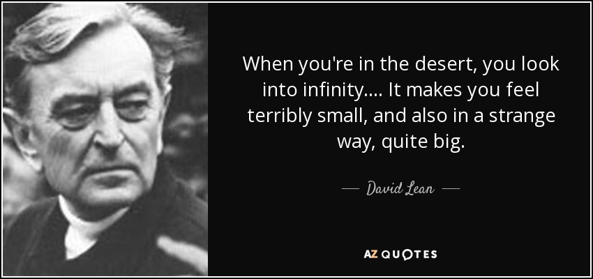 When you're in the desert, you look into infinity.... It makes you feel terribly small, and also in a strange way, quite big. - David Lean