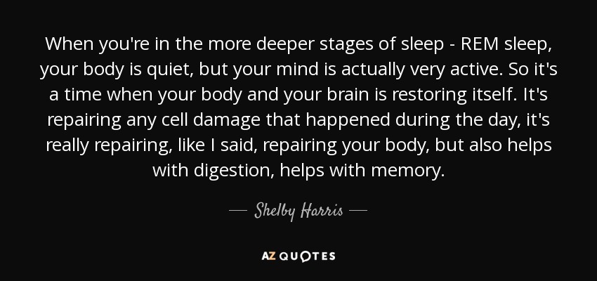 When you're in the more deeper stages of sleep - REM sleep, your body is quiet, but your mind is actually very active. So it's a time when your body and your brain is restoring itself. It's repairing any cell damage that happened during the day, it's really repairing, like I said, repairing your body, but also helps with digestion, helps with memory. - Shelby Harris