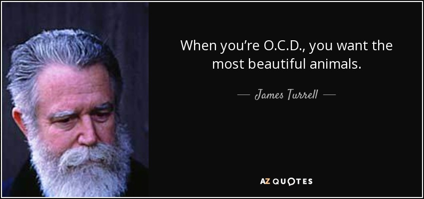 When you’re O.C.D., you want the most beautiful animals. - James Turrell