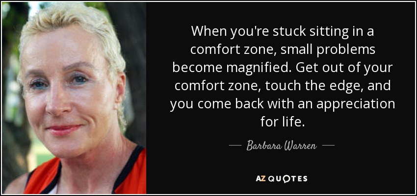 When you're stuck sitting in a comfort zone, small problems become magnified. Get out of your comfort zone, touch the edge, and you come back with an appreciation for life. - Barbara Warren