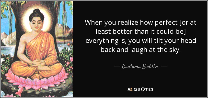 When you realize how perfect [or at least better than it could be] everything is, you will tilt your head back and laugh at the sky. - Gautama Buddha