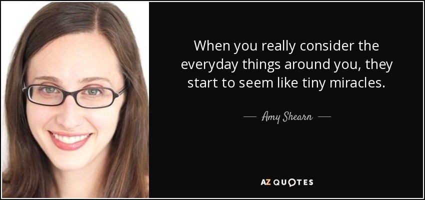 When you really consider the everyday things around you, they start to seem like tiny miracles. - Amy Shearn