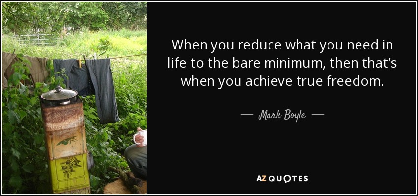 When you reduce what you need in life to the bare minimum, then that's when you achieve true freedom. - Mark Boyle