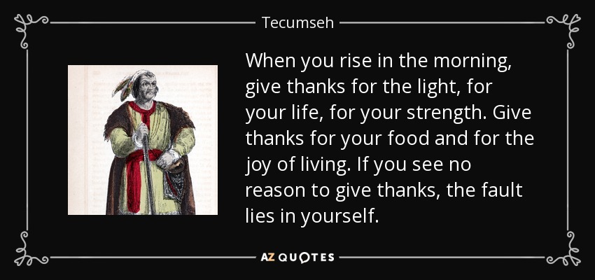 When you rise in the morning, give thanks for the light, for your life, for your strength. Give thanks for your food and for the joy of living. If you see no reason to give thanks, the fault lies in yourself. - Tecumseh