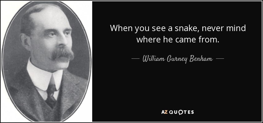 When you see a snake, never mind where he came from. - William Gurney Benham