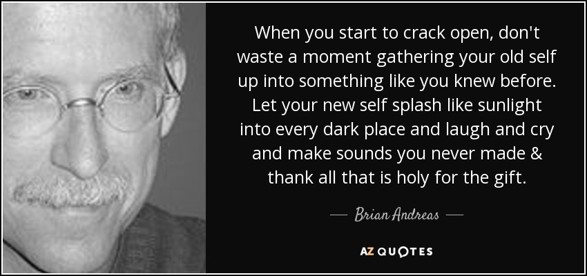 When you start to crack open, don't waste a moment gathering your old self up into something like you knew before. Let your new self splash like sunlight into every dark place and laugh and cry and make sounds you never made & thank all that is holy for the gift. - Brian Andreas