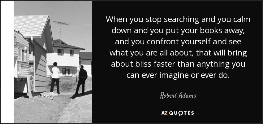 When you stop searching and you calm down and you put your books away, and you confront yourself and see what you are all about, that will bring about bliss faster than anything you can ever imagine or ever do. - Robert Adams