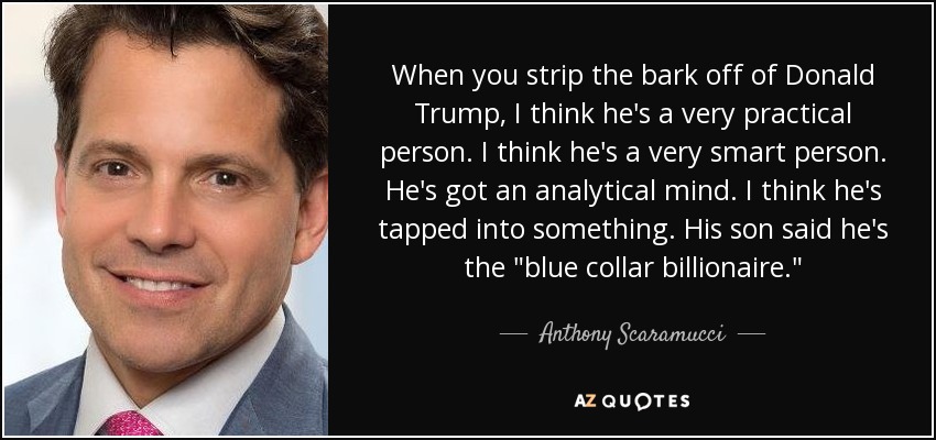 When you strip the bark off of Donald Trump, I think he's a very practical person. I think he's a very smart person. He's got an analytical mind. I think he's tapped into something. His son said he's the 