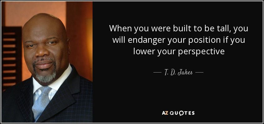When you were built to be tall, you will endanger your position if you lower your perspective - T. D. Jakes