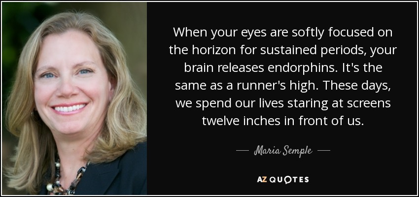 When your eyes are softly focused on the horizon for sustained periods, your brain releases endorphins. It's the same as a runner's high. These days, we spend our lives staring at screens twelve inches in front of us. - Maria Semple