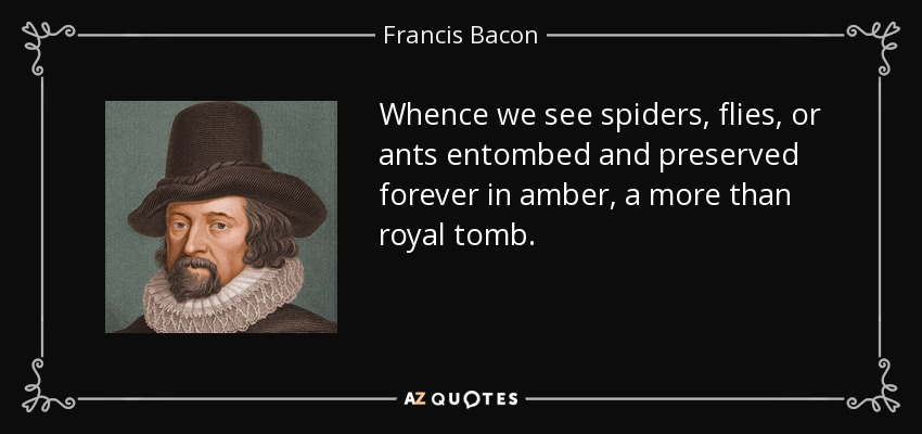 Whence we see spiders, flies, or ants entombed and preserved forever in amber, a more than royal tomb. - Francis Bacon