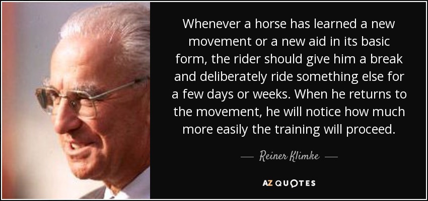 Whenever a horse has learned a new movement or a new aid in its basic form, the rider should give him a break and deliberately ride something else for a few days or weeks. When he returns to the movement, he will notice how much more easily the training will proceed. - Reiner Klimke