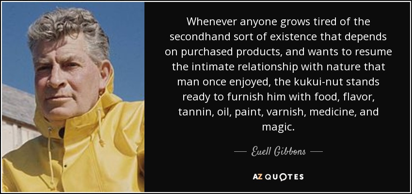 Whenever anyone grows tired of the secondhand sort of existence that depends on purchased products, and wants to resume the intimate relationship with nature that man once enjoyed, the kukui-nut stands ready to furnish him with food, flavor, tannin, oil, paint, varnish, medicine, and magic. - Euell Gibbons