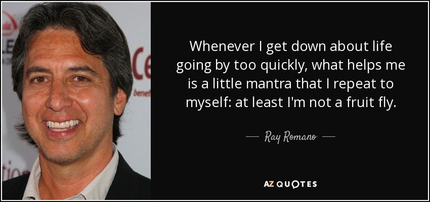 Whenever I get down about life going by too quickly, what helps me is a little mantra that I repeat to myself: at least I'm not a fruit fly. - Ray Romano
