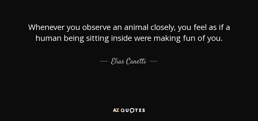 Whenever you observe an animal closely, you feel as if a human being sitting inside were making fun of you. - Elias Canetti