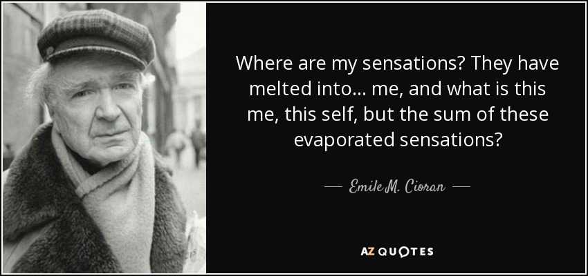 Where are my sensations? They have melted into... me, and what is this me, this self, but the sum of these evaporated sensations? - Emile M. Cioran