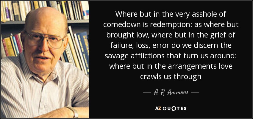 Where but in the very asshole of comedown is redemption: as where but brought low, where but in the grief of failure, loss, error do we discern the savage afflictions that turn us around: where but in the arrangements love crawls us through - A. R. Ammons