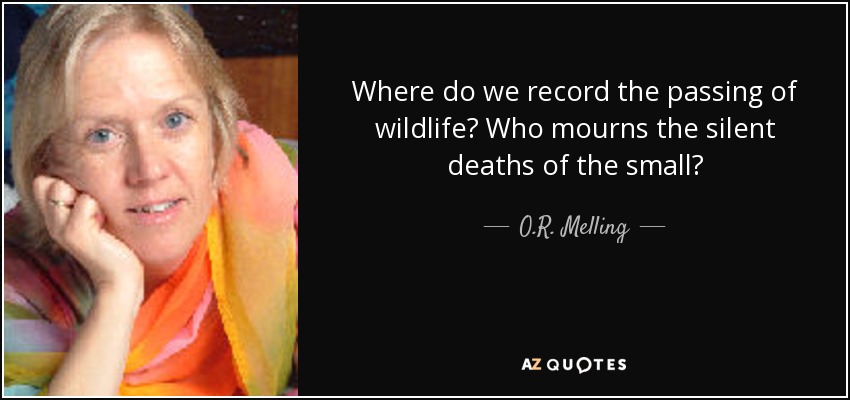 Where do we record the passing of wildlife? Who mourns the silent deaths of the small? - O.R. Melling