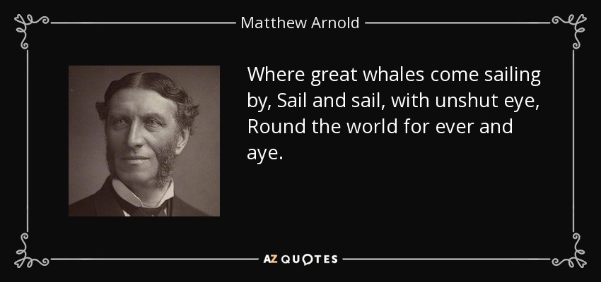 Where great whales come sailing by, Sail and sail, with unshut eye, Round the world for ever and aye. - Matthew Arnold