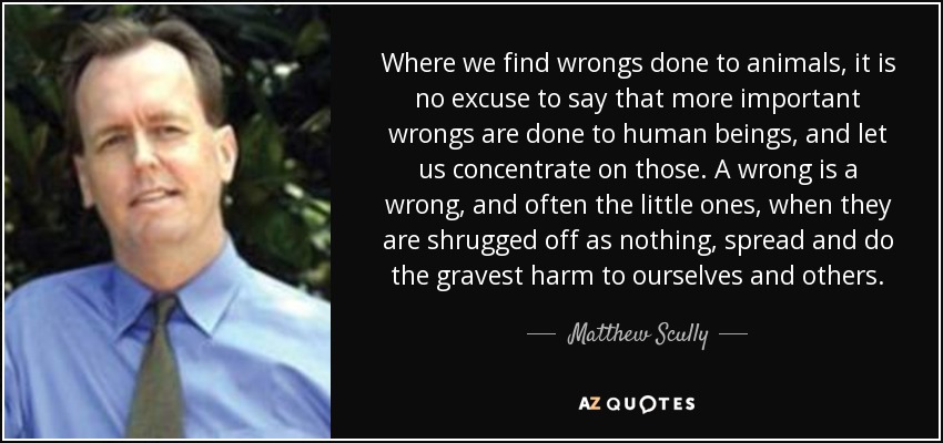 Where we find wrongs done to animals, it is no excuse to say that more important wrongs are done to human beings, and let us concentrate on those. A wrong is a wrong, and often the little ones, when they are shrugged off as nothing, spread and do the gravest harm to ourselves and others. - Matthew Scully